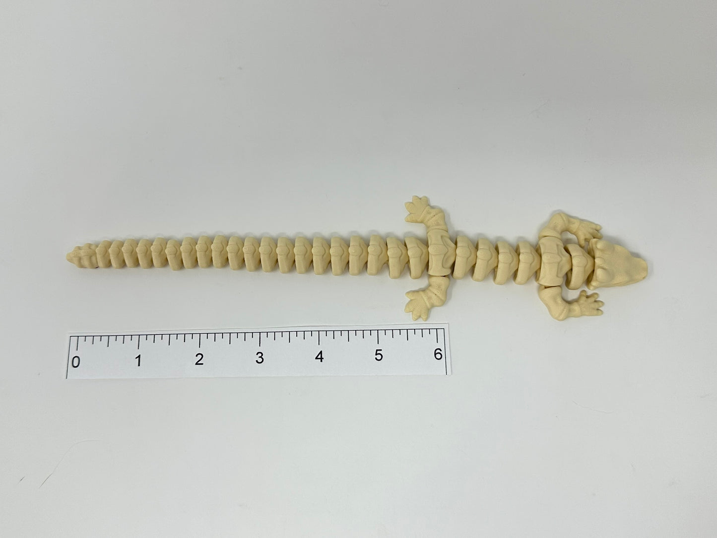 Bone Colored Articulated Skeleton Dragon